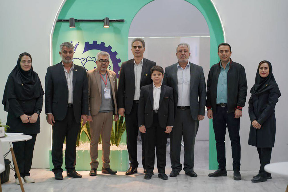 به گزارش حاشیه سود به نقل از روستانیوز، شرکت دانه طلایی کمیجان در سال ۱۳۸۳ در فضایی به مساحت ۱۵ هزار متر مربع در شهرک صنعتی کمیجان در دو سایت افتتاح و آغاز به فعالیت نموده است.
